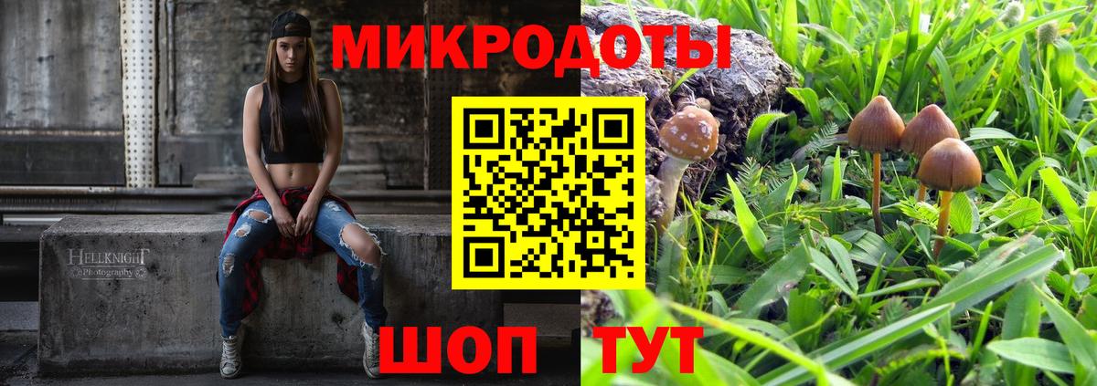 Псилоцибиновые грибы GOLDEN TEACHER Красноармейск